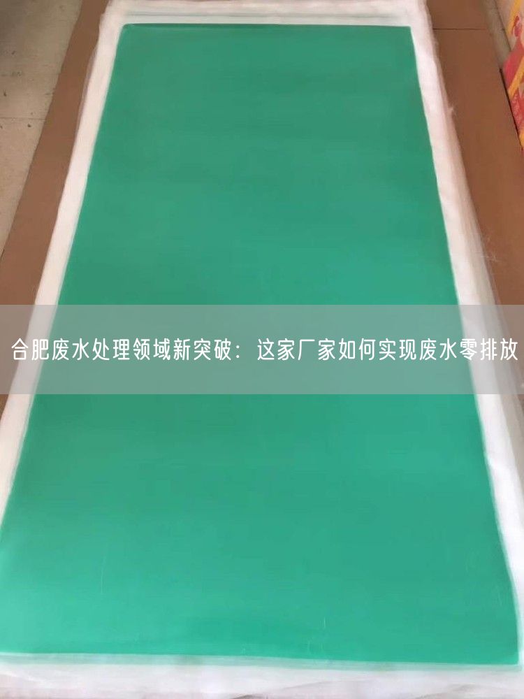 合肥废水处理领域新突破：这家厂家如何实现废水零排放(图1)